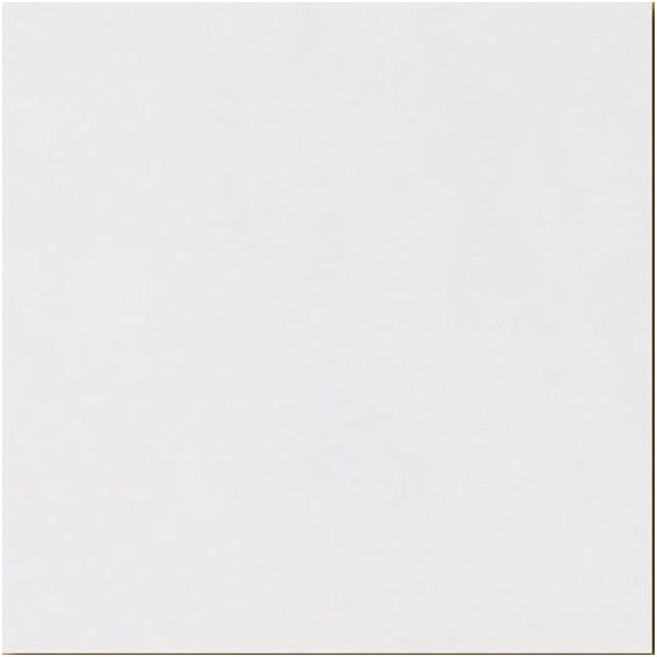 Arctic White 60cm x 60cm Wall and Floor Tile