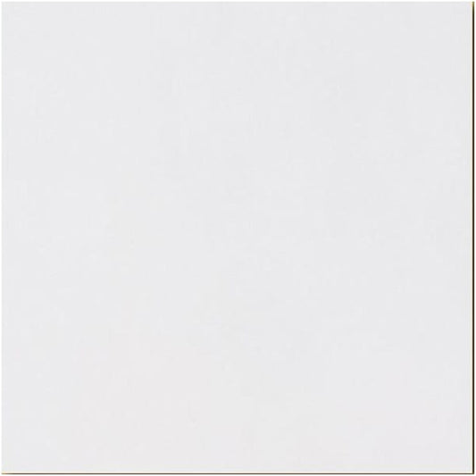 Arctic White 60cm x 60cm Wall and Floor Tile