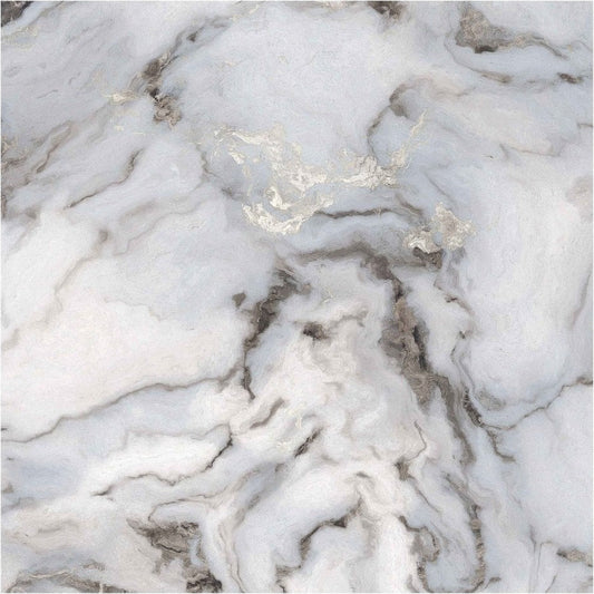 Exotica Silver 60cm x 60cm Wall and Floor Tile