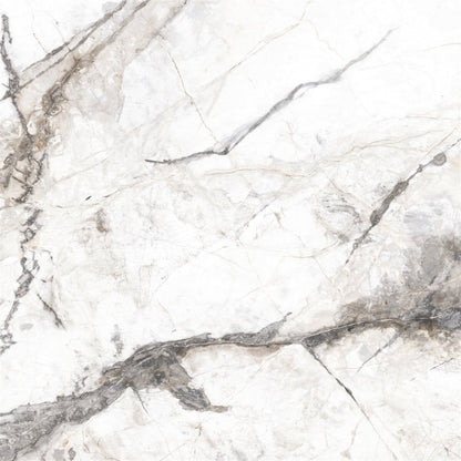 Invisible Marble 60cm x 60cm Wall and Floor Tile